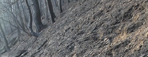 Dichiarato lo stato di massima pericolosità per gli incendi boschivi
