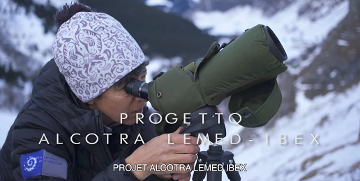 On line il quinto video dedicato allo stambecco realizzato nell'ambito del progetto LEMED Ibex