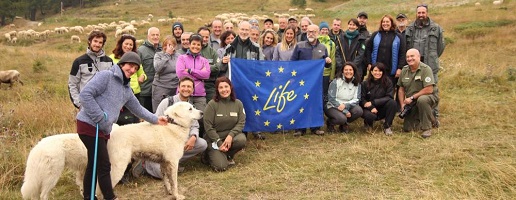 Nelle Alpi Cozie visita sul campo a realtà virtuose nella prevenzione degli attacchi da lupo al bestiame grazie ai cani da guardiania