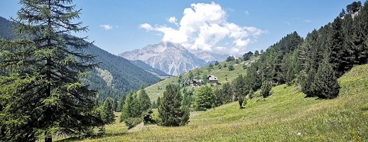 Notizie dal Consiglio delle Aree protette delle Alpi Cozie – seduta del 18 maggio 2022