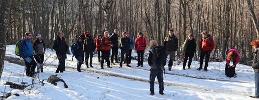 LIFE WolfAlps EU: primo corso per insegnanti e guide nei Parchi Alpi Cozie