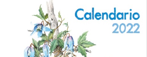 Dedicato ai fiori il Calendario 2022 Parchi Alpi Cozie