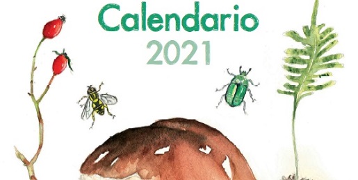 Dove trovare il calendario 2021 dei Parchi Alpi Cozie?