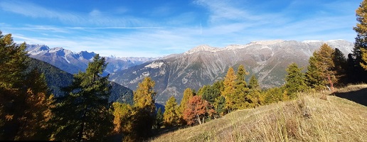 Sui Sentieri del Gran Bosco con Piemonte Parchi