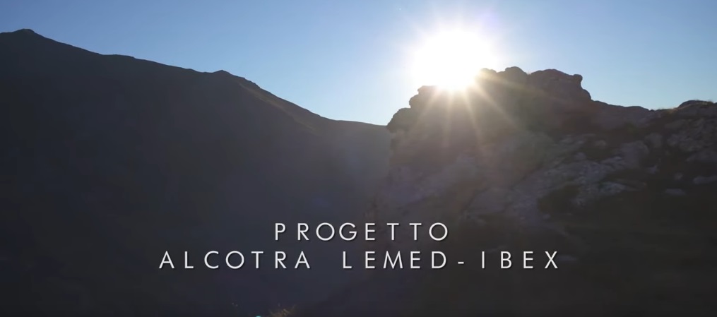 Video completo progetto Lemed-ibex