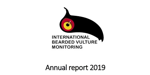 Pubblicato il Report 2019 dell'International Bearded Vulture Monitoring