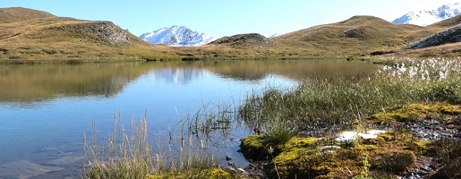 Online sul canale Youtube dei Parchi Alpi Cozie il nuovo video del guardiaparco Bruno Usseglio relativo ai laghi della Fionière e ZSC Valle della Ripa