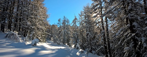 Inverno 2022-23 nei Parchi Alpi Cozie