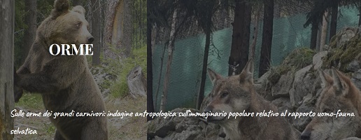 Sulle orme dei grandi carnivori: indagine antropologica sull’immaginario popolare relativo al rapporto uomo-fauna selvatica