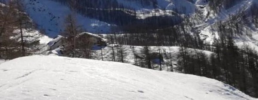 La magia della neve nei parchi delle Alpi Cozie: un’emozione da vivere in sicurezza
