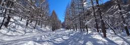 Val Troncea: divieto di attività alpinistica in area di pregio naturalistico