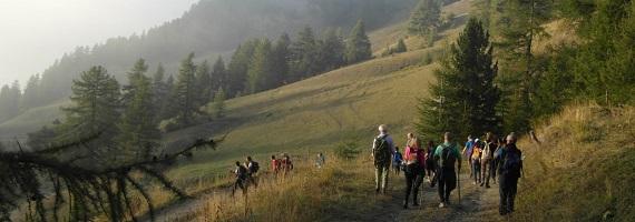 Escursione al bramito nel Parco del Gran Bosco di Salbertrand